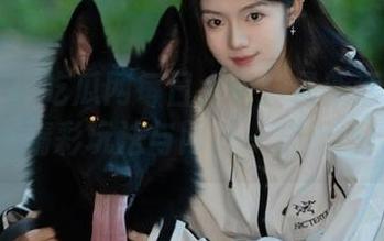吃瓜网每日大赛：最新活动上线，精彩玩法与网址一览无遗！