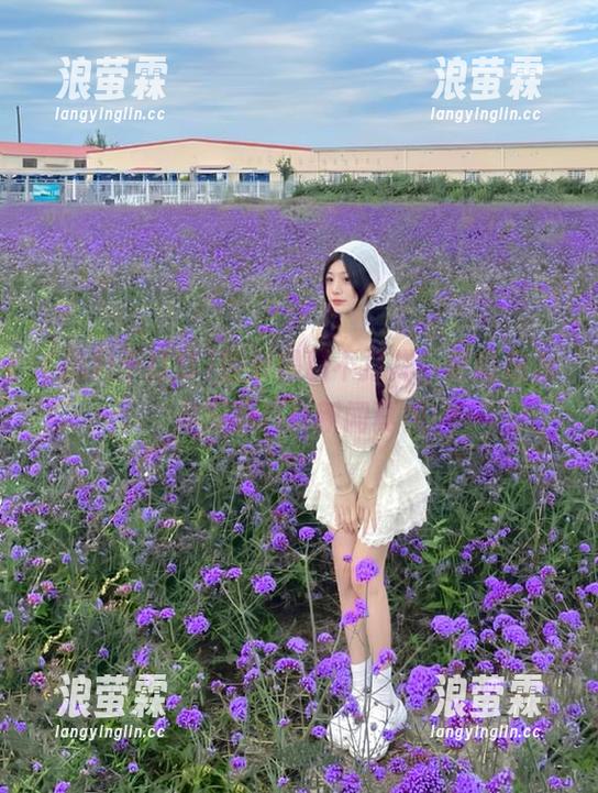 登录黑料不打烊，老司机为你解析八卦新闻真相
