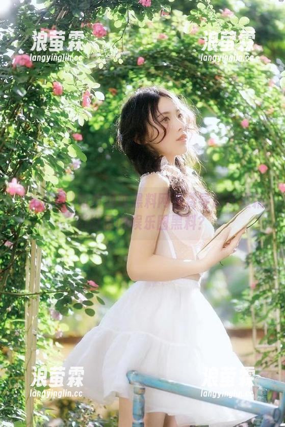 如何通过黑料网免费导航获取精彩纷呈的娱乐圈黑料？
